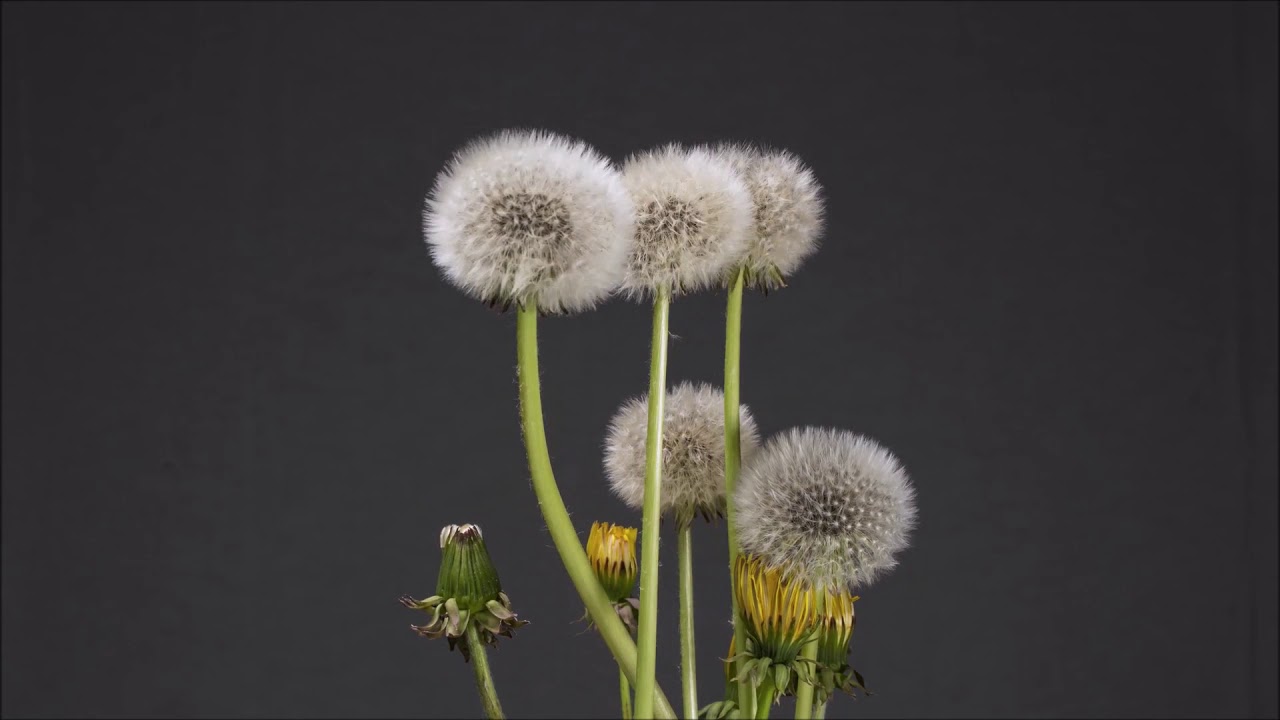 Short Personal Growth Reflection