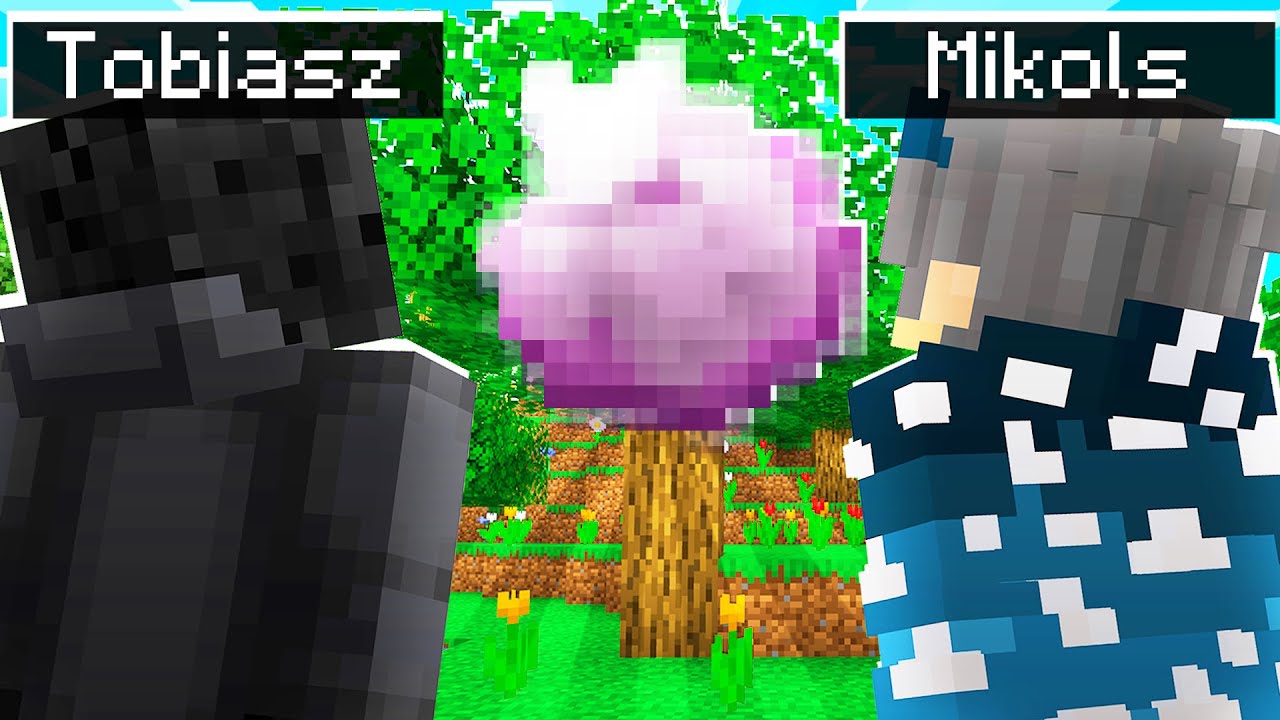 Ten Przedmiot Zmienia WSZYSTKO Na LifeSteal SMP!