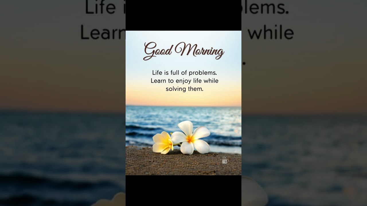 Good Morning Status 🌺| Good Morning Quotes Images 🌺| good morning images  #motivation
