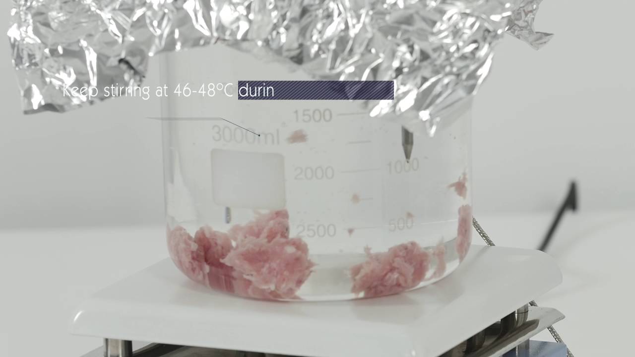 Digester apparatus for Trichinella
