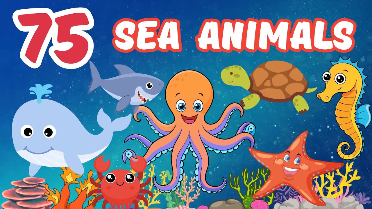 Discover 75 Sea Creatures 🦀 Names and Fun Facts for Kids 