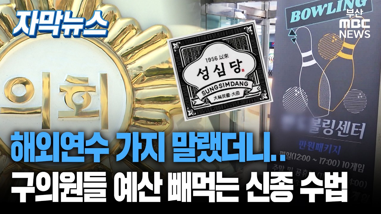 해외연수 가지 말랬더니.. 구의원들 예산 빼먹는 신종 방법 | 자막뉴스