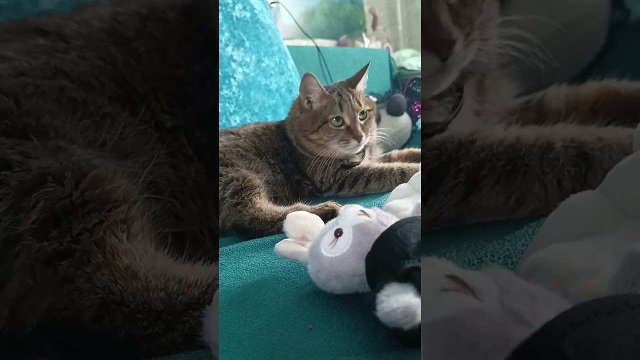 Я собираюсь на гимнастику !