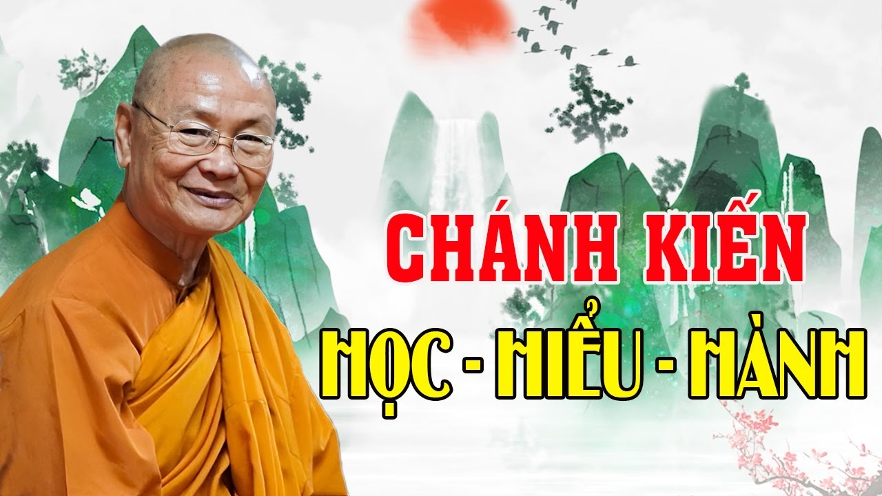 Chánh Kiến. Đánh Thức Ý Nghĩa Cuộc Đời |  HT Viên Minh Giảng | Phật Pháp Vấn Đáp
