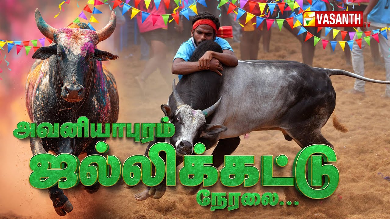 Avaniyapuram Jallikattu 2026 | அவனியாபுரம் ஜல்லிக்கட்டு நேரலை | Pongal Bulls Taming | Vasanth TV