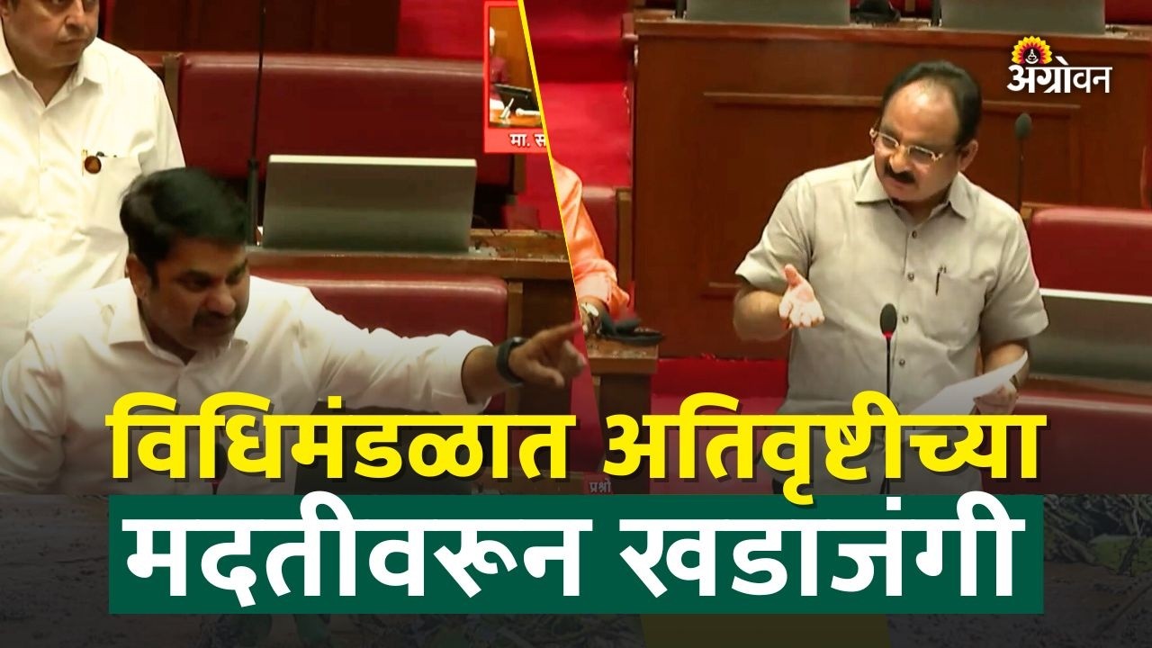 Ativrushti Madat: अतिवृष्टीची मदत अजून केंद्राकडून का आली नाही? विरोधकांचा सरकारला सवाल | Agrowon