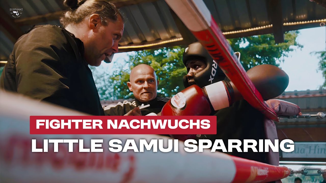 🔥 Nachwuchs-Kämpfer im Sparring-Turnier | Elephant Muay Thai vlog