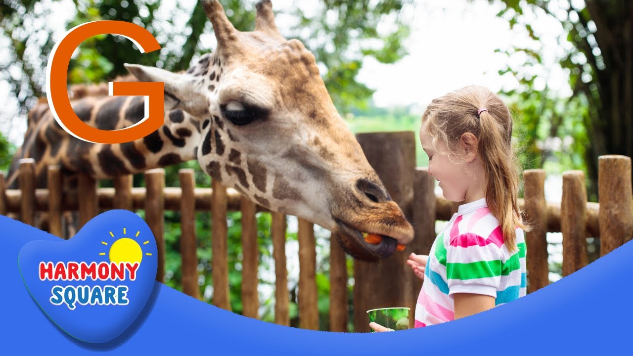 The Alphabet Zoo on Harmony Square
