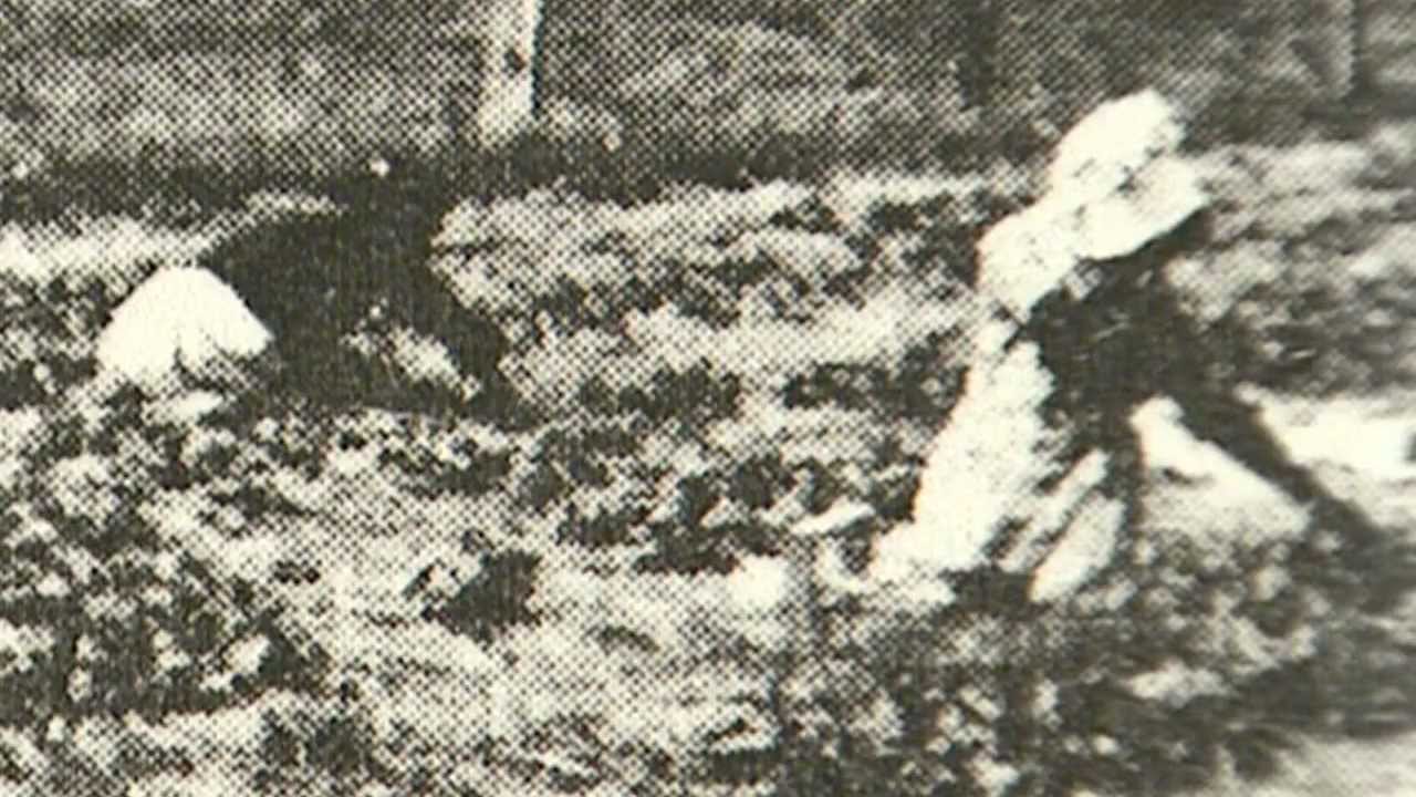 (Part 1 of 2) Strawberry Festival Documentary