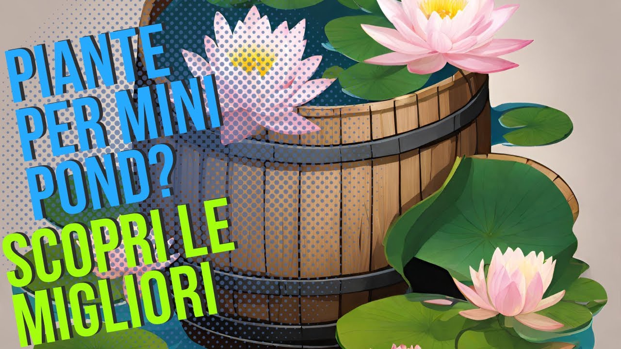 Come allestire un mini pond, piante per mini pond, contenitori per mini pond