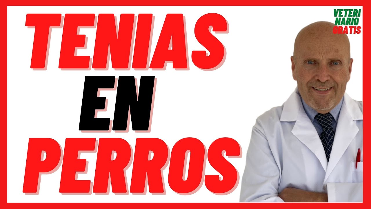 🔴  TENIAS 🔴  Tipos de Parásitos Intestinales Comunes en Perros 🔴 Tratamiento con Praziquantel dosis