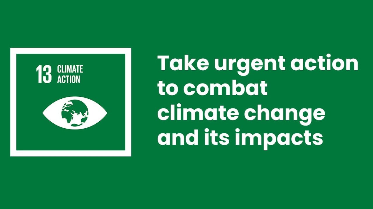 Climate Change Impacts - Unraveling UN SDG 13 (3 Minutes)