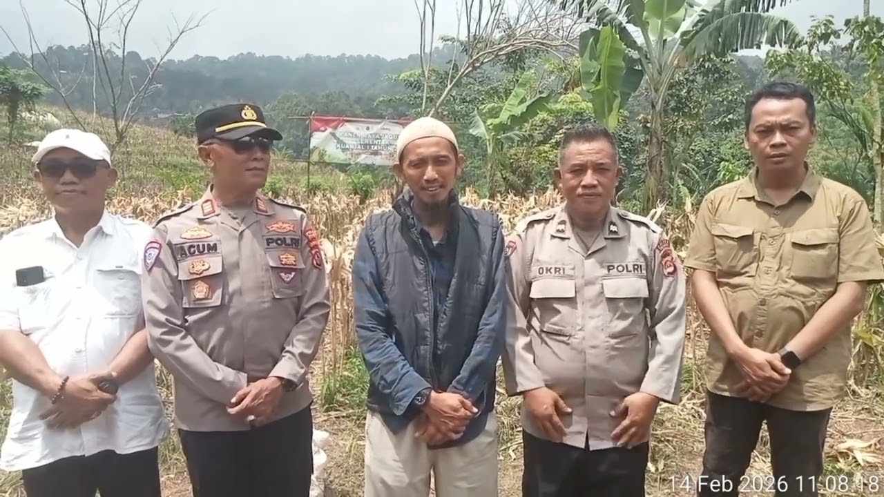 POLRI: Polres Cilegon Panen Raya Jagung Bersama Foktan Pajar Sentosa Desa Ciwarna 