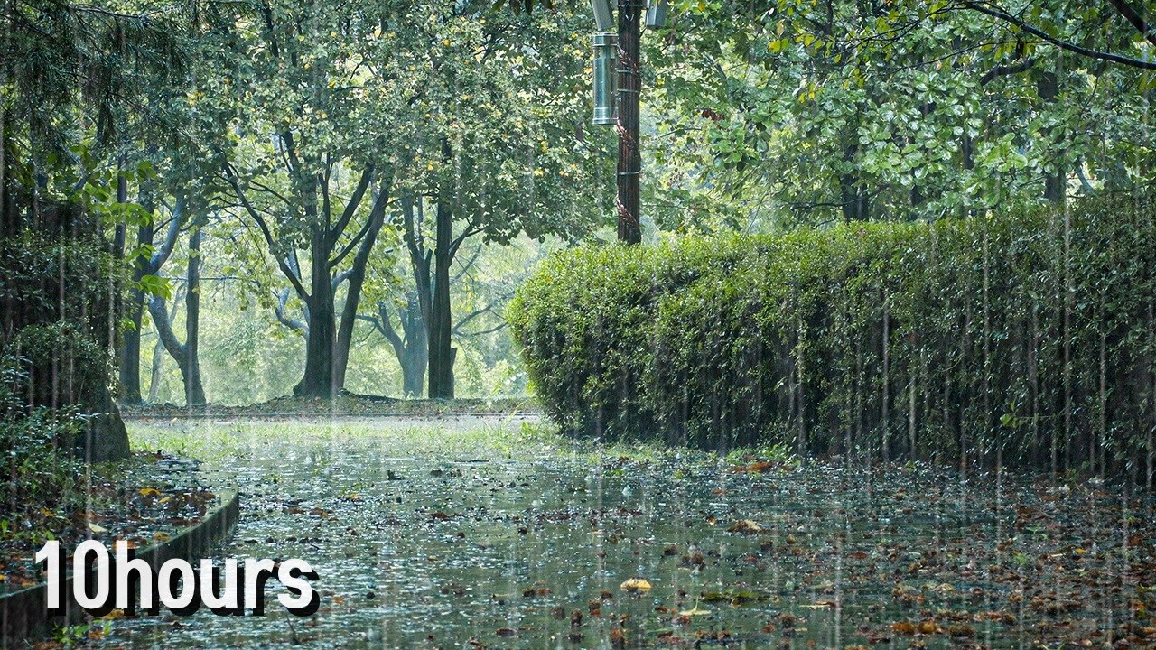 [10Hour] Natural Deep Sleep Rain Sounds | Gentle Rain for Sleeping, Insomnia Relief & White Noise