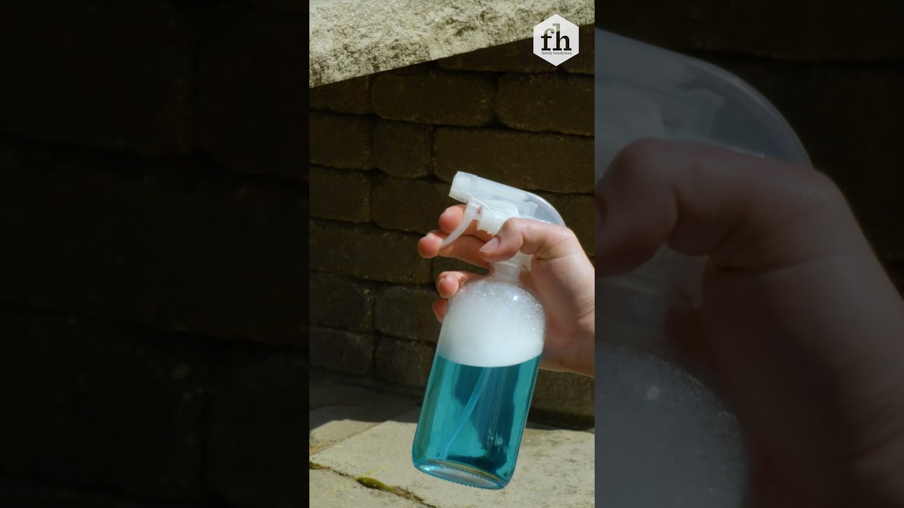 How To Create a Non-Toxic Mixture to Kill Wasps