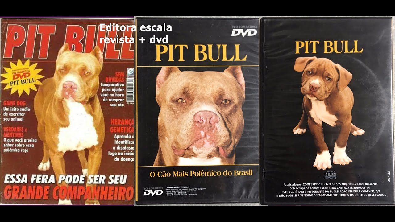 PIT BULL - O cão mais polêmico do Brasil DVD 