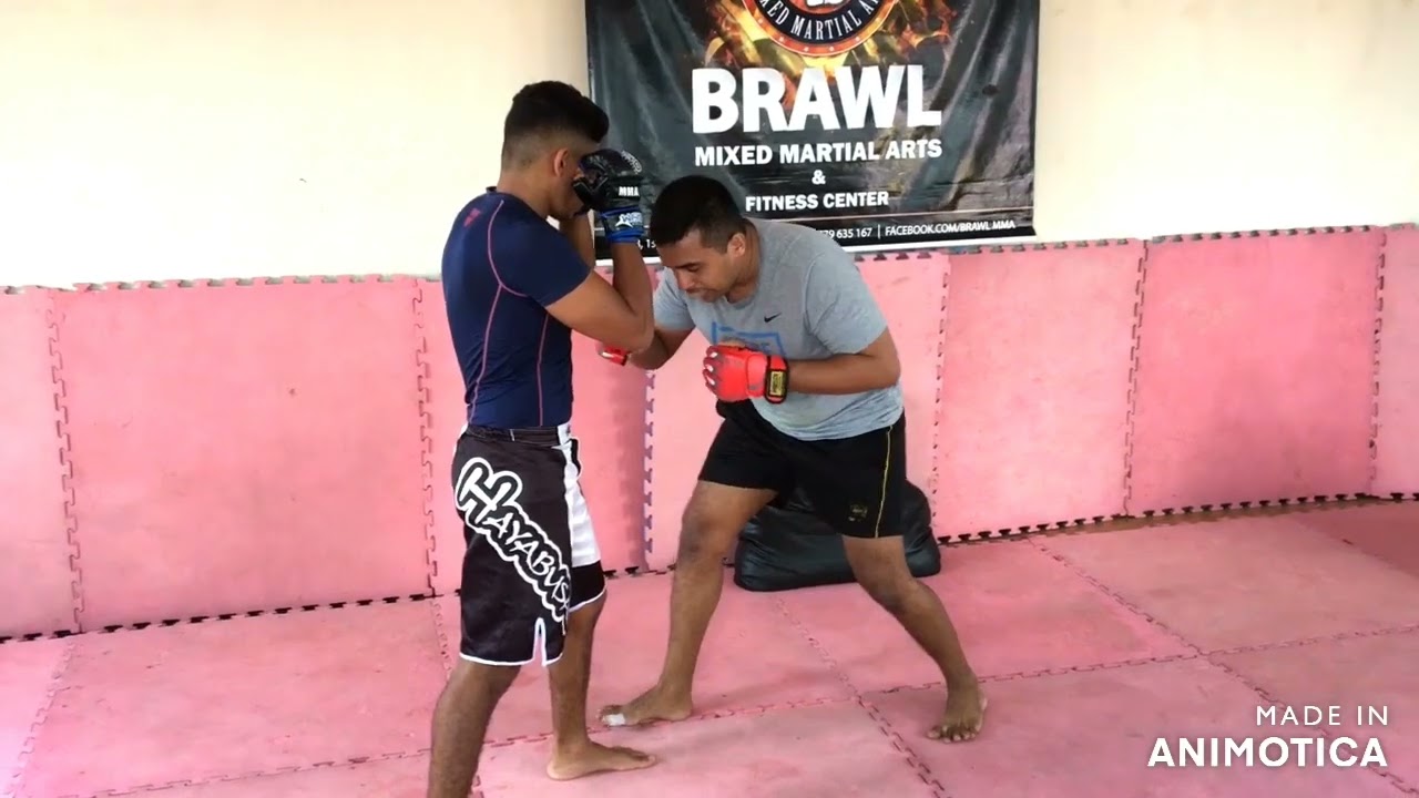Basic MMA GRAPPLING - Single leg variation takedows