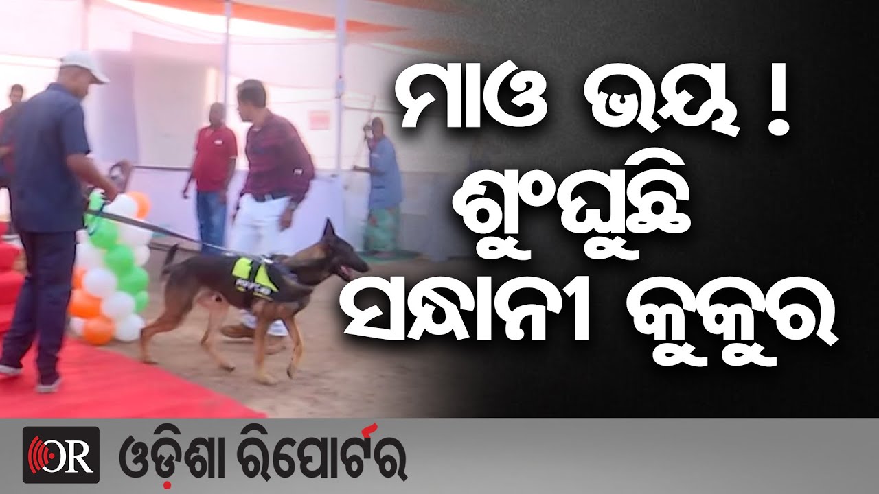 ମାଓ ଭୟ ! ଶୁଂଘୁଛି ସନ୍ଧାନୀ କୁକୁର  | Odisha Reporter