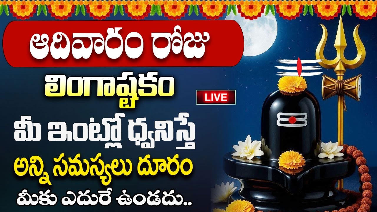 Live : ఆదివారంరోజు 