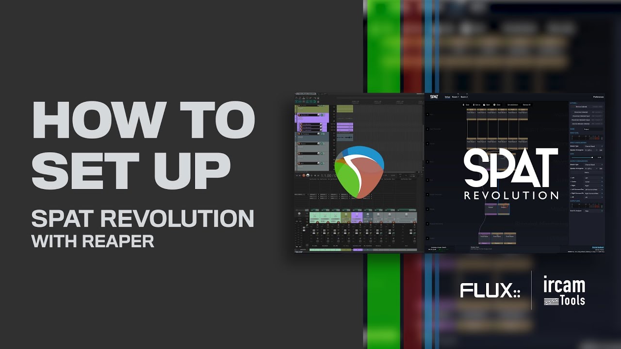 HOW TO SET UP SPAT REVOLUTION WITH REAPER