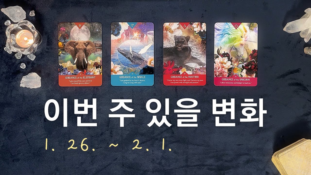 [타로/주간운세] 1월 마지막 주 종합운 (1. 26. ~ 2. 1.)