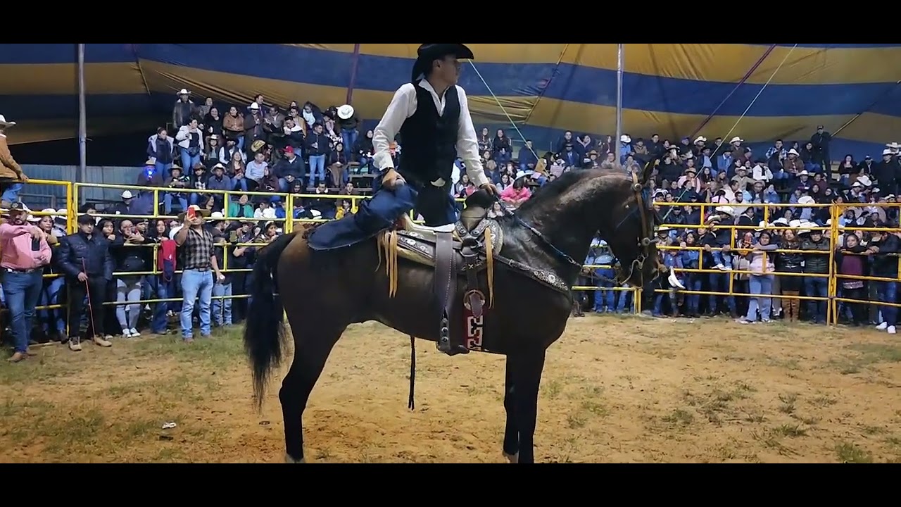 Sebastián Alejandro / San Juan de las Huertas / Parado sobre el caballo 