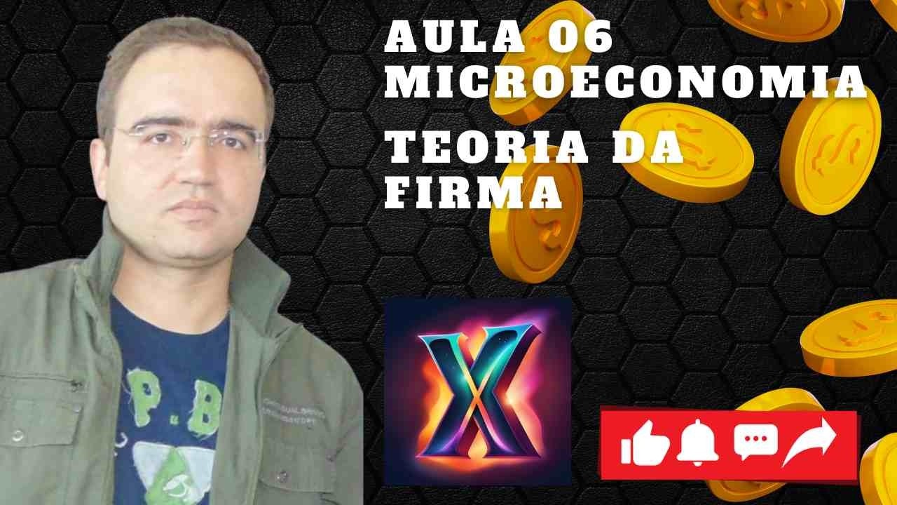 AULA 06 - MICROECONOMIA (TEORIA DA FIRMA)