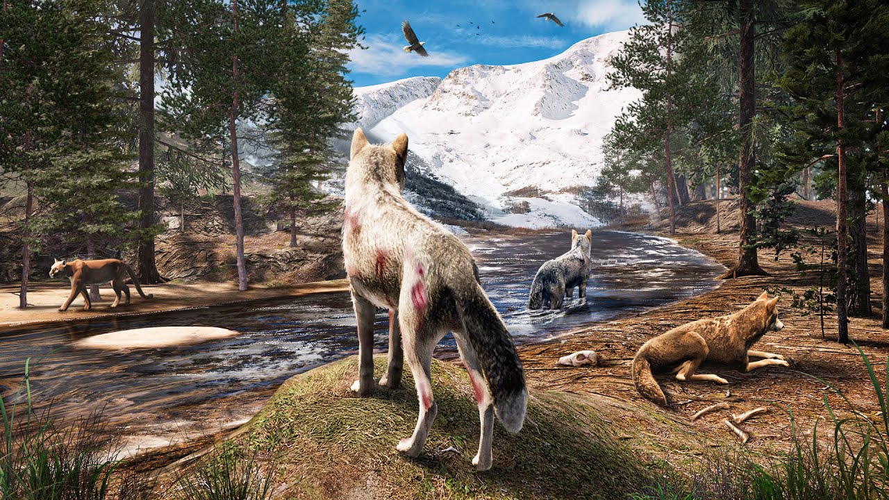 I Survive the Wild as a Wolf... And Found a Pack!