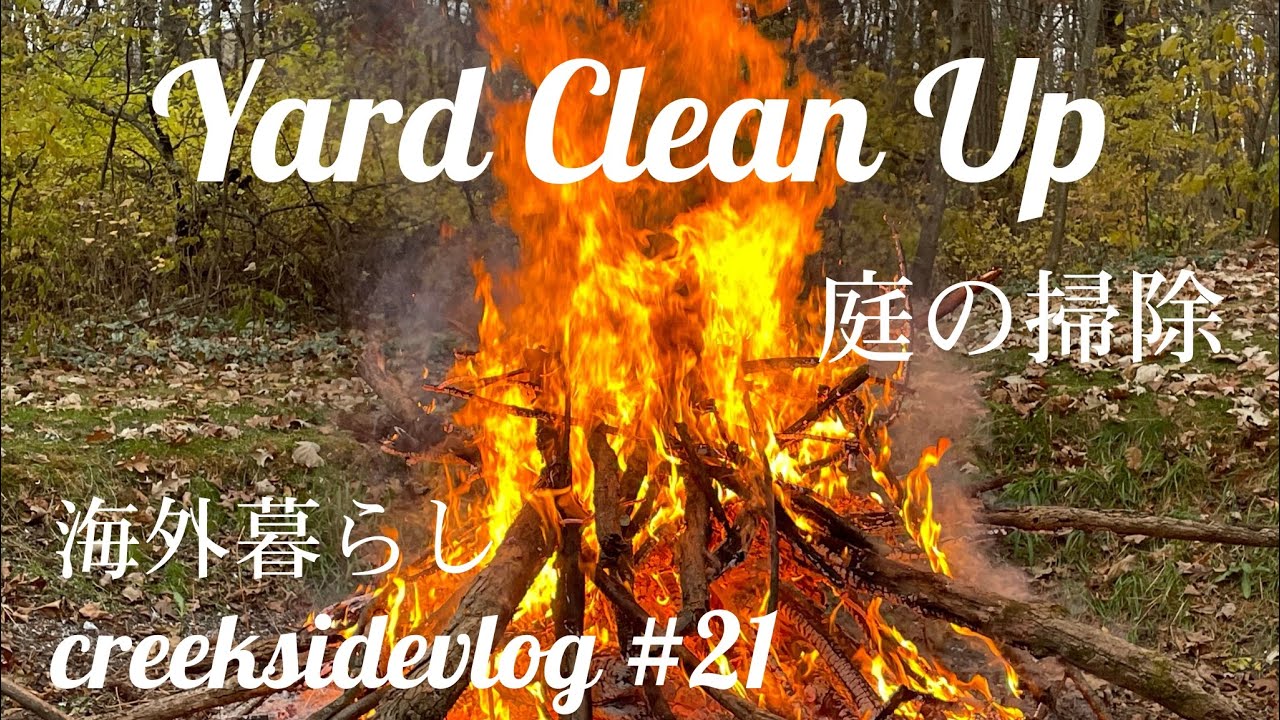 {海外暮らしVlog｝#21 Bonfire焚火 l Supermoon I クリスマス買い物Shopping I 新しい鳥の巣箱NewBirdfeeder I Autumn colors