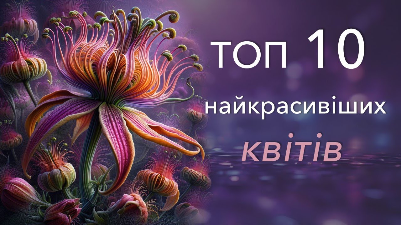 ТОП 10 НАЙКРАСИВІШИХ квітів світу
