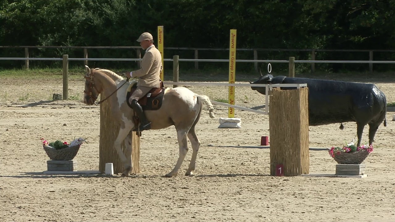 Working-Equitation Stiltrail Deutsche Meisterschaften 2017 Mitja Hinzpeter auf  Macchato