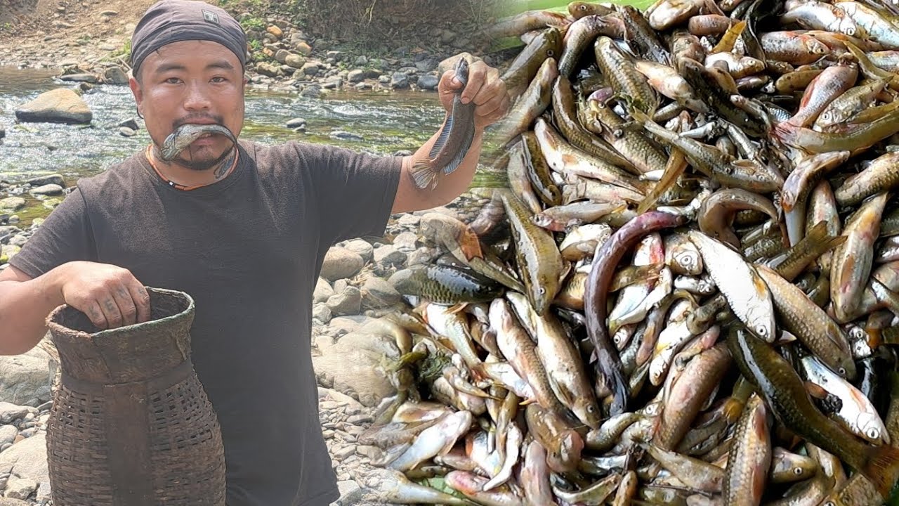 Bountiful  fish Caught  and cook in different  Naga style .