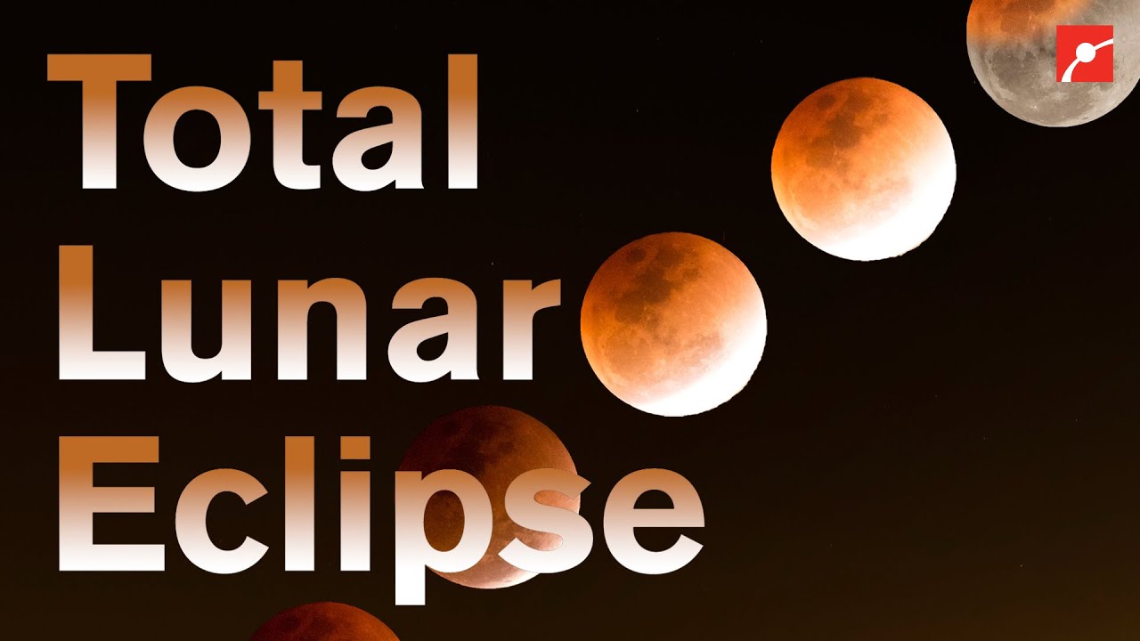 Total Lunar Eclipse on November 8 #Shorts