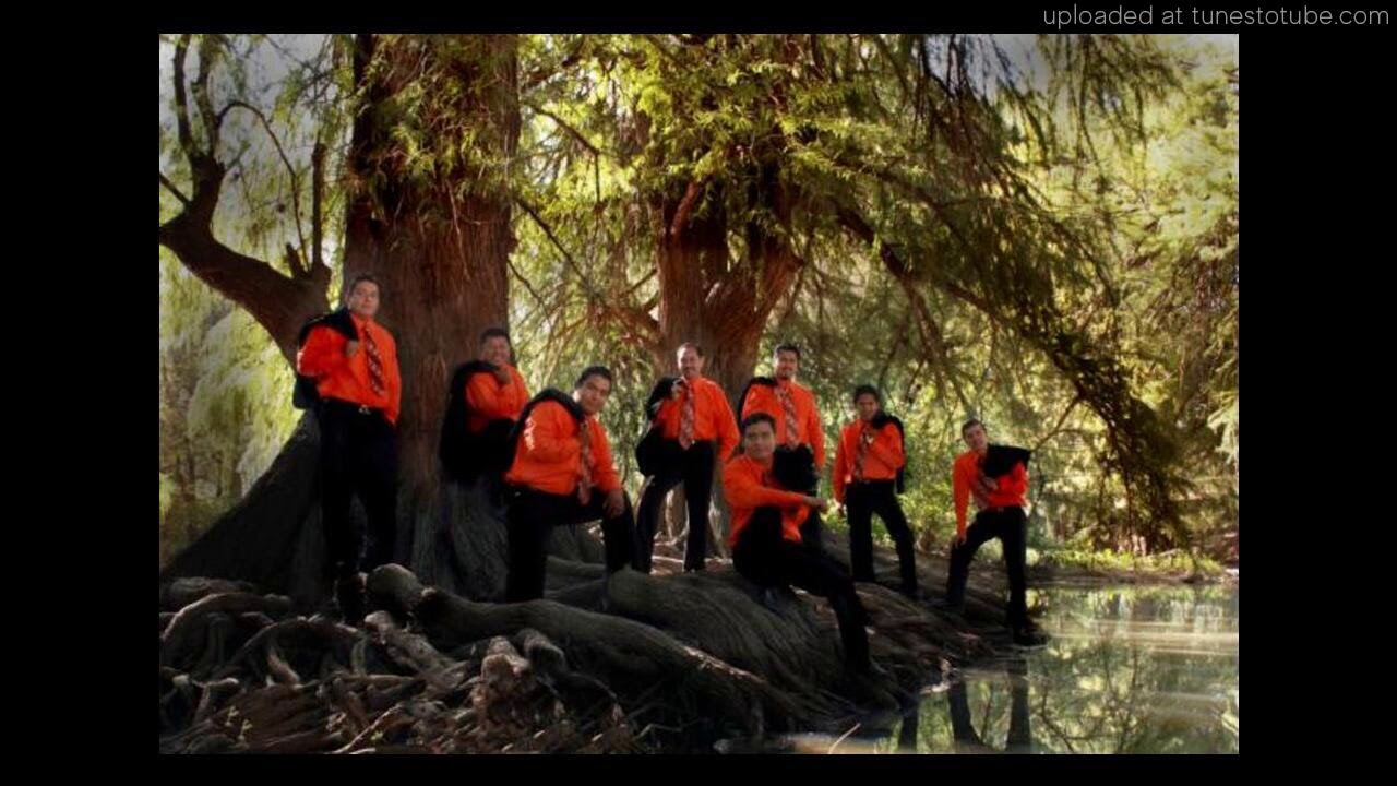 Salmo 91 - Rondalla Cuerdas del Sinaí