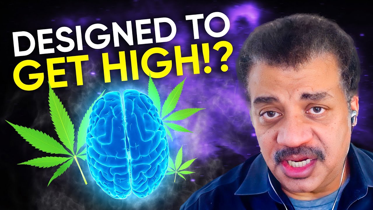 Cosmic Queries – Pot Luck с Нилом Деграссом Тайсоном и доктором Стейси Грубер
