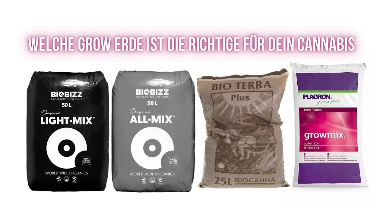 Welche Grow Erde ist die richtige f&uuml;r dein Cannabis