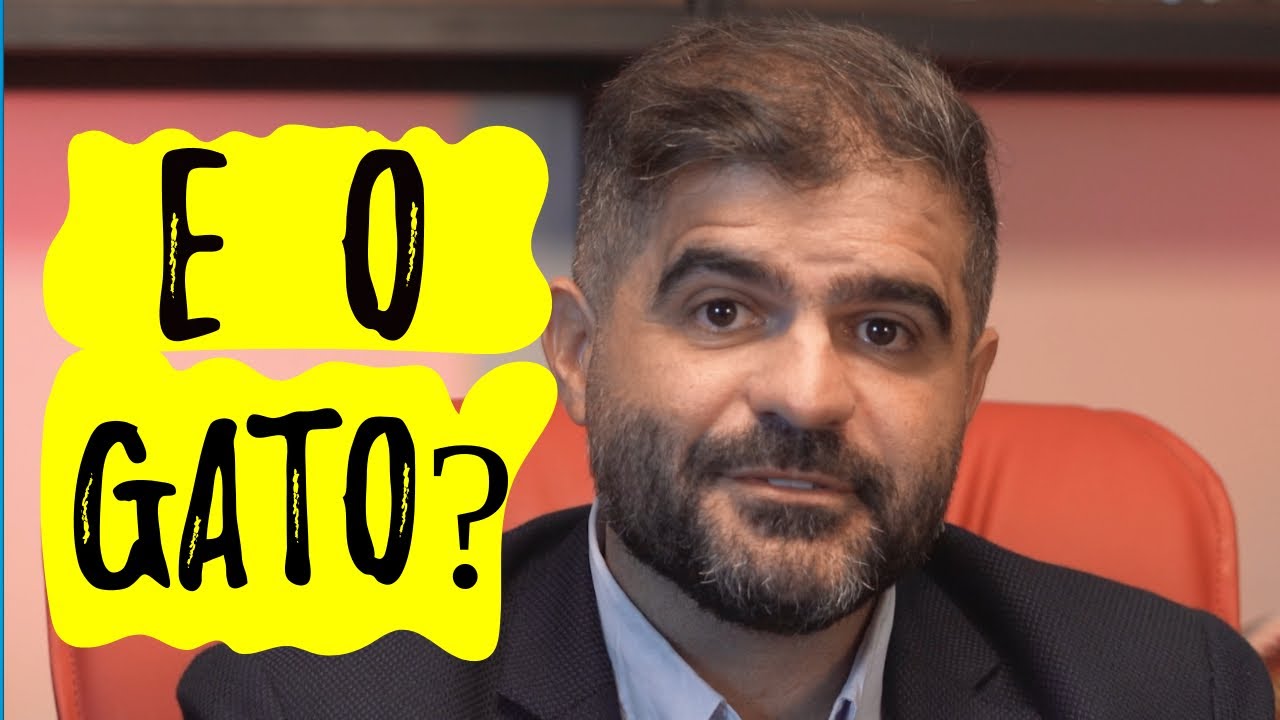 E O GATO? Podem cortar minha energia? Corte ilegal de energia gera danos morais!