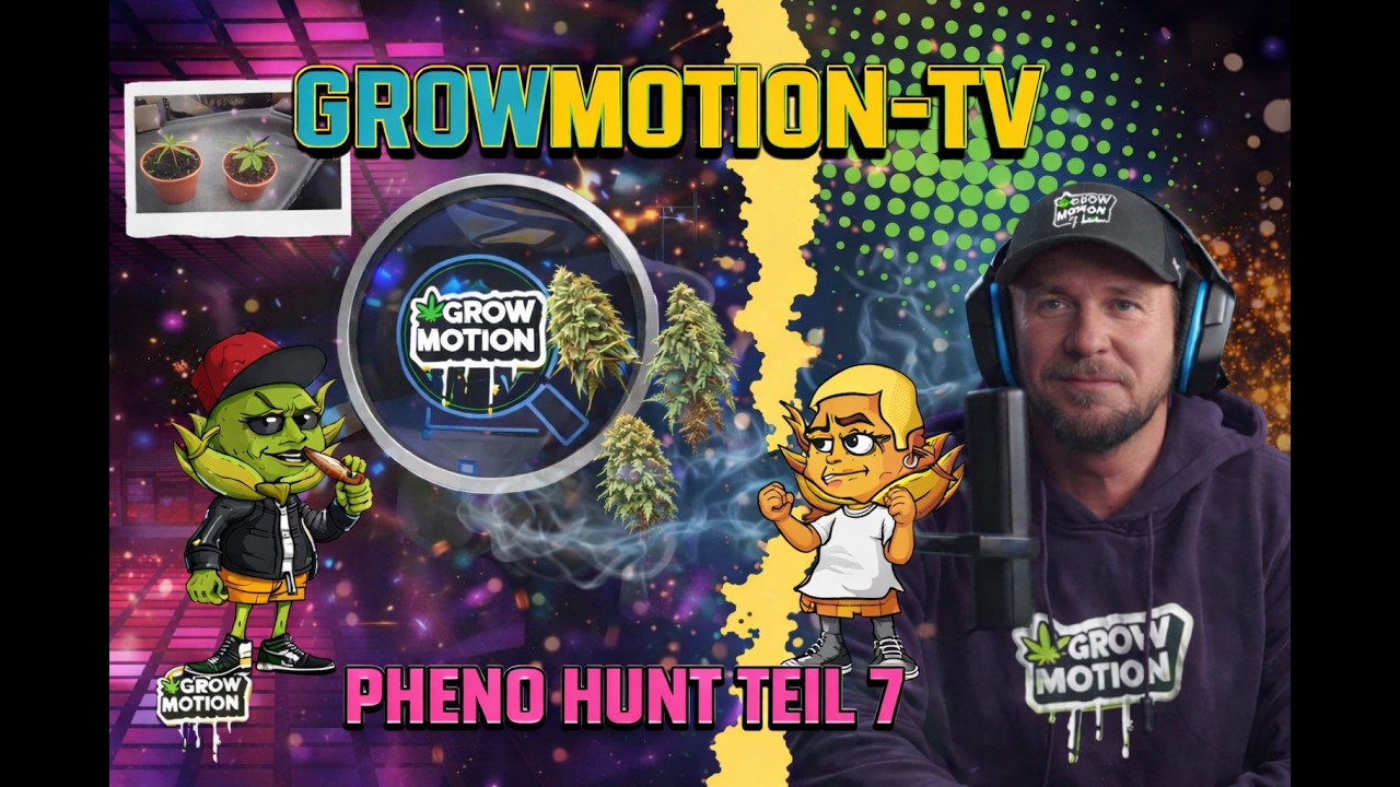 PHENO HUNT UPDATE I Diese Pflanzen EXPLODIEREN!
