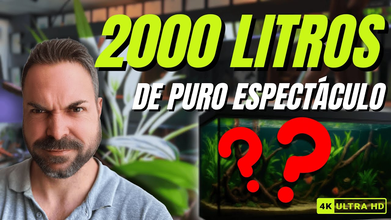 ¡2.000 LITROS DE PURO ESPECTÁCULO! Así es mi TIENDA DE AQUASCAPING 😱