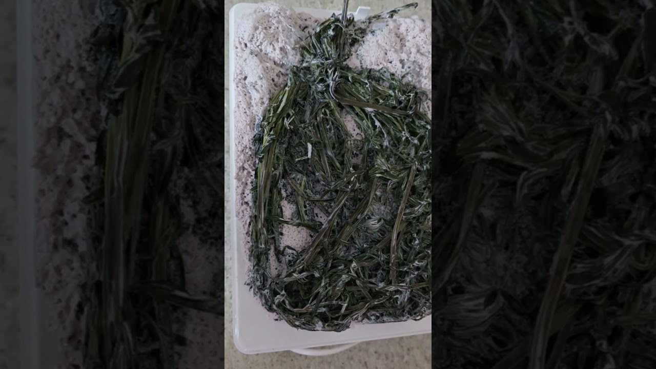K&auml;seherstellung mit Labkraut