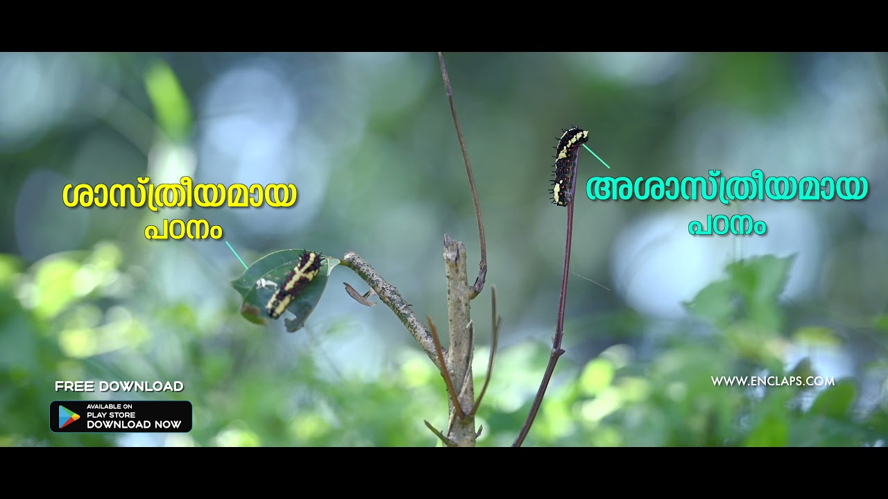ശാസ്ത്രീയമായ പഠനം | ENCLAPS