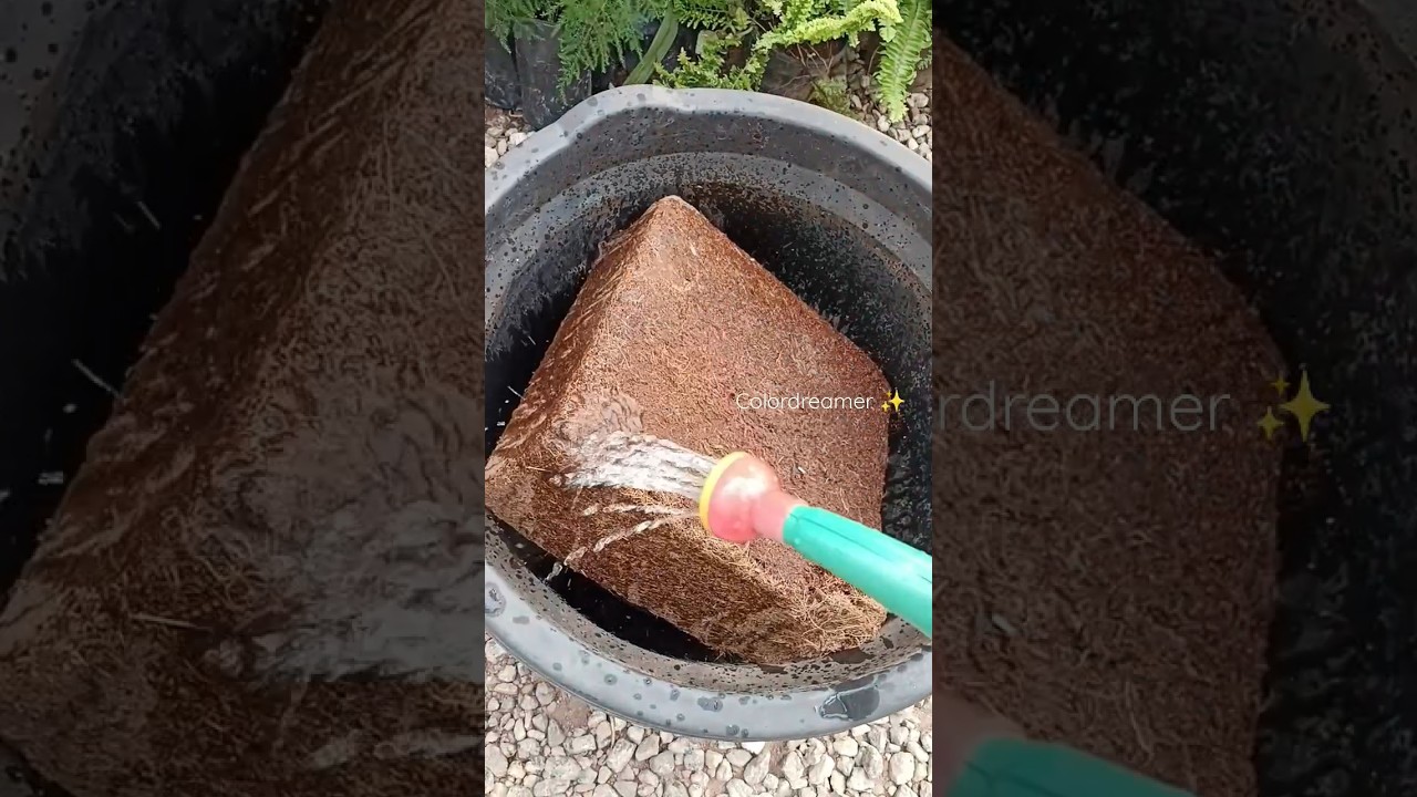 How to use Cocopeat block