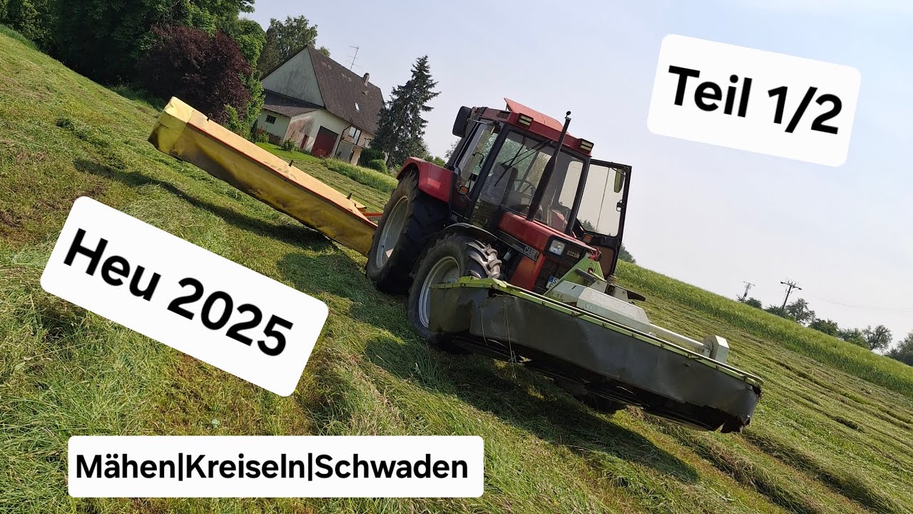 Heu 2025 Mähen| Kreiseln| Schwaden Teil 1 | Restle Agrar
