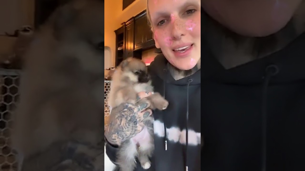 Jeffree Star | Instagram Live Stream | April 12, 2020