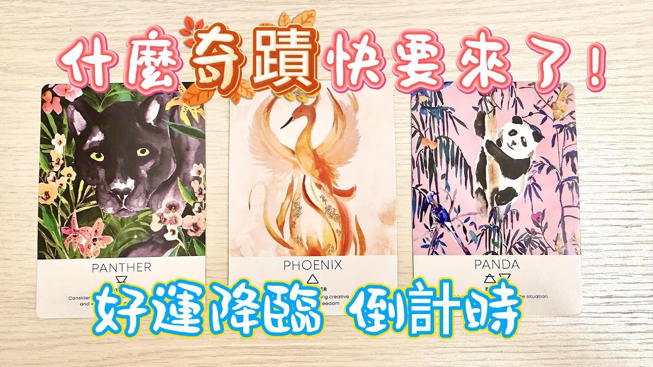 塔羅占卜🔮點進來不是巧合，你正在被好運召喚✨