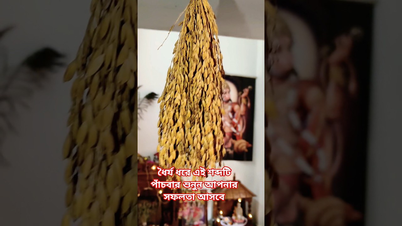 #Be patient and listen to this word five times and you will succeed #viral #reels