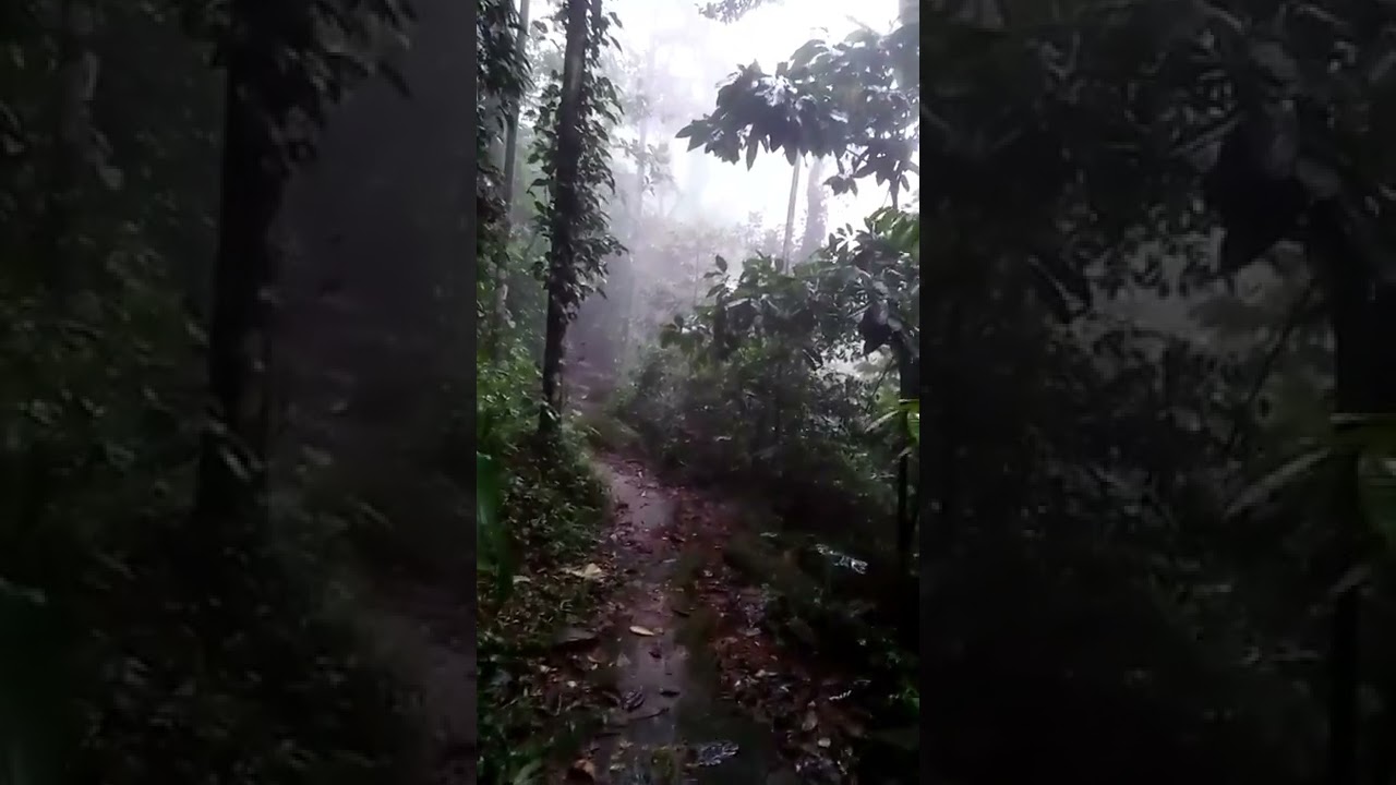 എന്തൊരു മഴ 🌧🌩| Rain short video | Kerala kottayam Ajv Travel View #shorts #rain #traveling