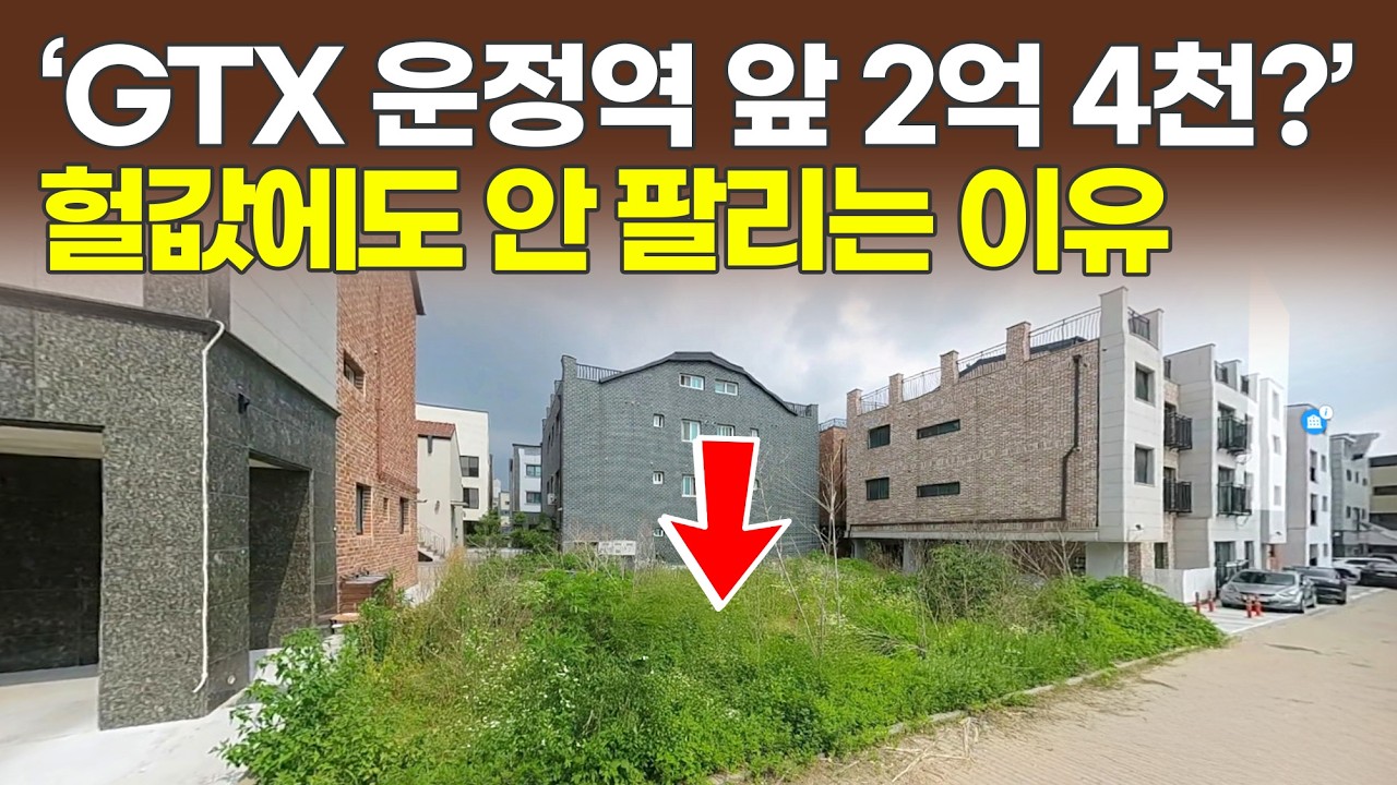 GTX 운정중앙역 앞 땅, 반값에도 안팔리는 이유 (화목경매 15)