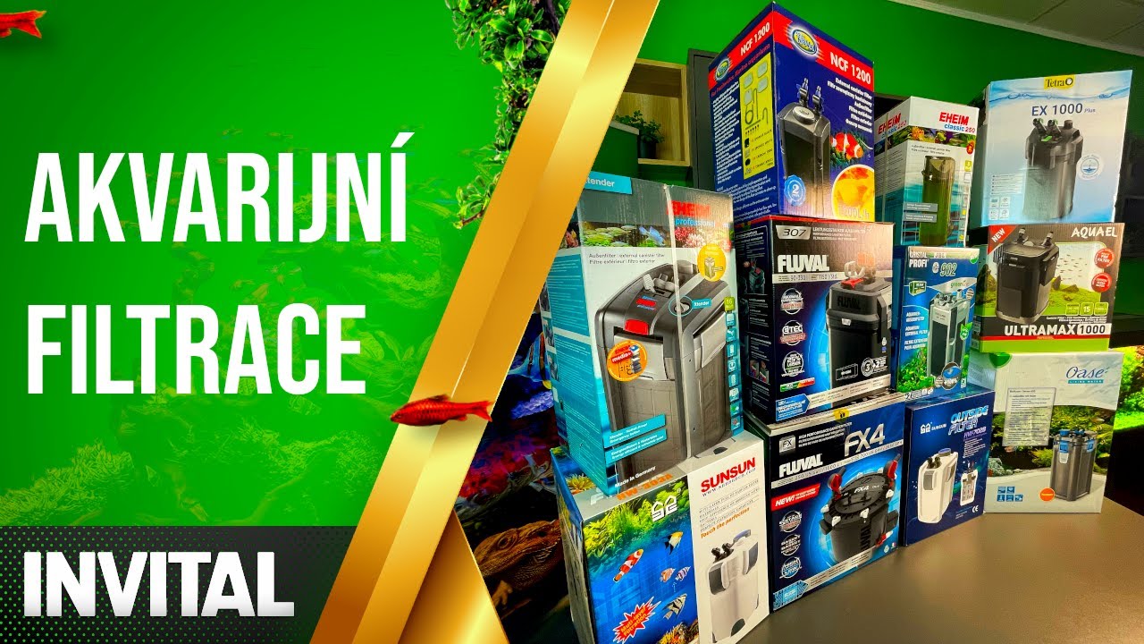 Akvarijní filtrace | INVITAL