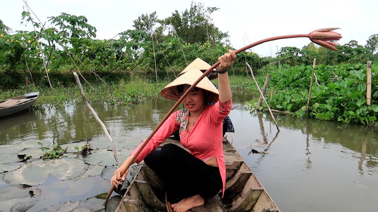 Hái Bông Súng và Rau Muống Đồng về Nấu Canh Chua  | Thôn Nữ Miền Tây